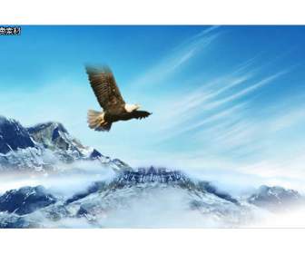 mountain eagle soar psd layered material