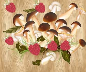 Mushroom Mulberry