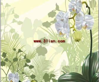 난초 식물 재료