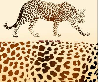Pantera E Leopardo