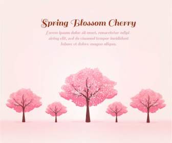 Pohon Ceri Merah Muda Di Musim Semi Latar Belakang