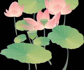 Pink Lotus Hijau Daun Teratai