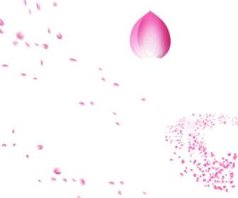 Pink Peach Flower Background Psd Material