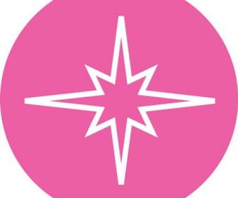 Pink Star Shaped Icon Material