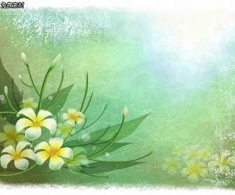 Plumeria Watercolor Backgrounds Psd Material