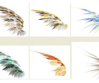 png feather material