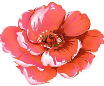 PS, Malowane Piwonia Kwiat Warstwowe Psd Materiału