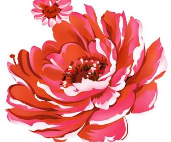 PS, Malowane Piwonia Kwiat Warstwowe Psd Materiału