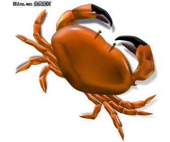 Psd Cartoon Crab Stuff
