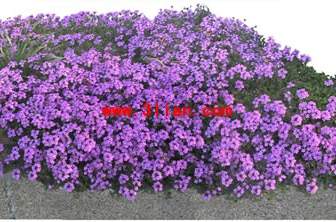 PSD Capas De Plantas Del Jardín De Flor Púrpura