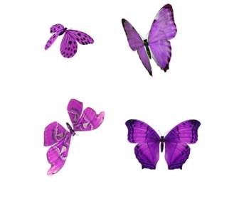 purple butterfly png stuff