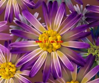 Фиолетовый цветок Psd слоистый материал