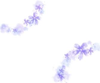 紫色的花瓣裝飾花邊