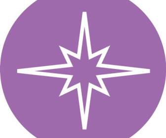 Material Icono Forma Estrella Púrpura