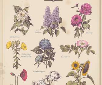 Retro Blume-Karte