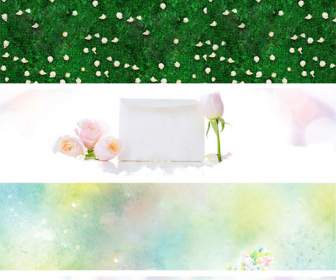 Romantic Roses Background Psd Template