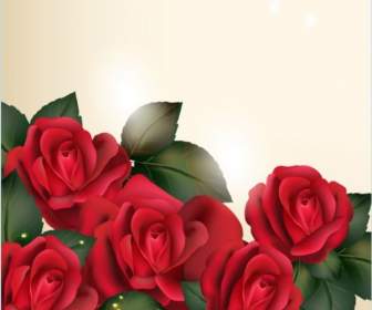 Mawar Romantis Vektor Latar Belakang