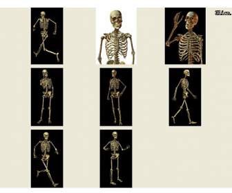 Skeleton Man Psd Material