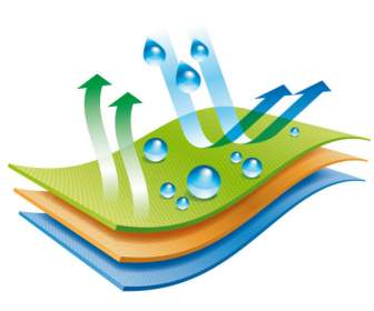 Phác Họa đồ Của Vector Tải Về Tài Liệu