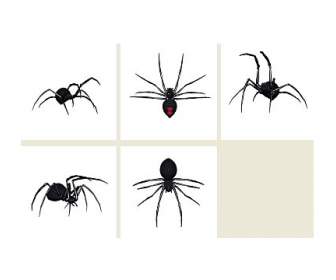 spiders png icons