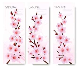 Frühling Cherry Blossoms Hintergrund