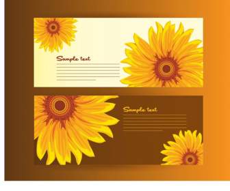 Cartão Da Flor De Sol