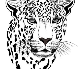 O Material De Cabeça De Leopardo