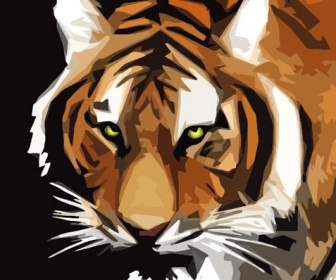 Tiger Photo Material Design