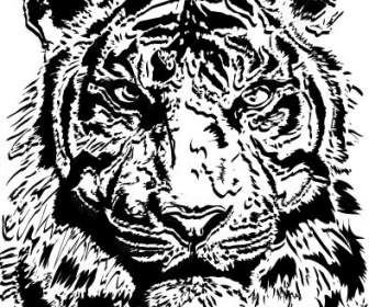 Tiger-schmelzende Bildeffekte