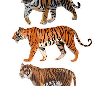 虎打印水彩画