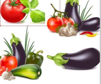 Tomato And Eggplant