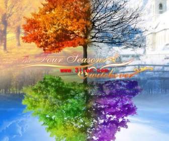 tree of seasons