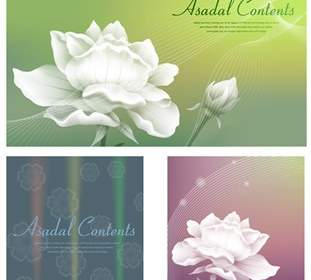 Variety Of Classic Flowers And Dreamy Background Material