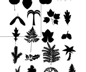 مختلف النباتات صورة ظلية