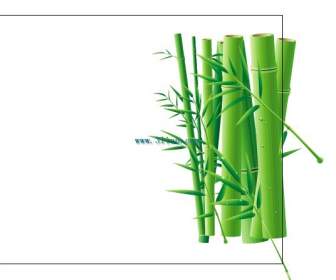 Vektor-Bambus