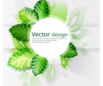 Cordón Decorativo Vector