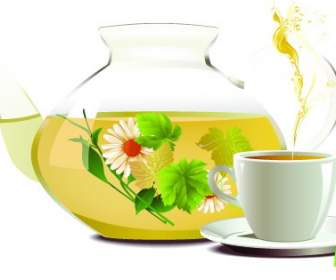 Vektor Der Chrysantheme Tee