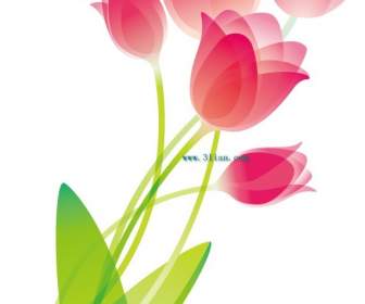Tulip Vector