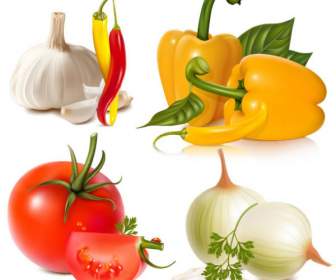 Vektor Bahan Sayuran Untuk Men-download
