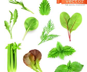 Gemüse Leaf Design