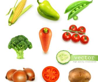 蔬菜圖示