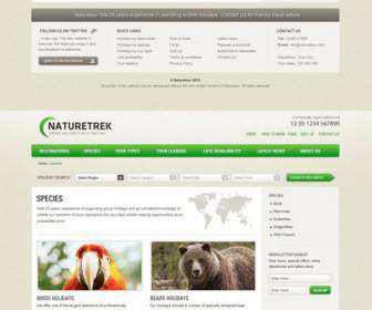 version of the animal world web templates psd layered material