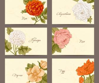 Cartão De Flores Vintage