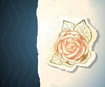 老式的玫瑰花纹图案贴纸