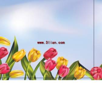 Lebendige Tulpen Material