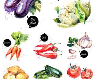 野菜の水彩画の背景