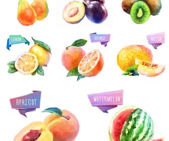 Watercolor Fruit Design