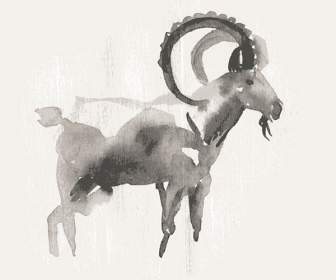 Watercolor Goat Design