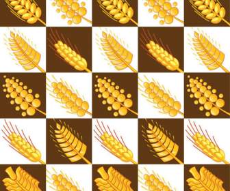 小麦パターン