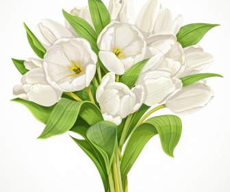 白色鬱金香花束